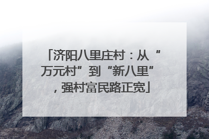济阳八里庄村：从“万元村”到“新八里”，强村富民路正宽